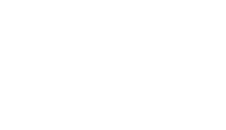 Team Safety Third